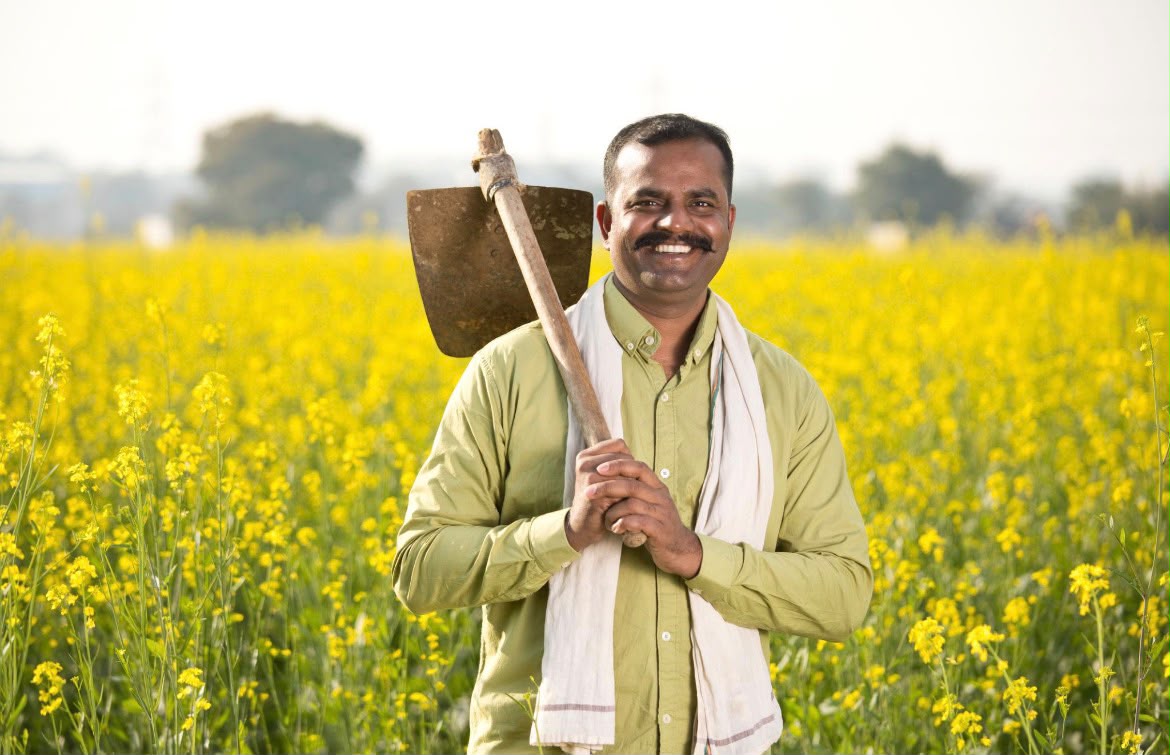 Farmer in mustard field